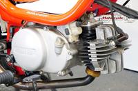 Yamaha Chappy / LB50 1994 70cc 1 cyl ts